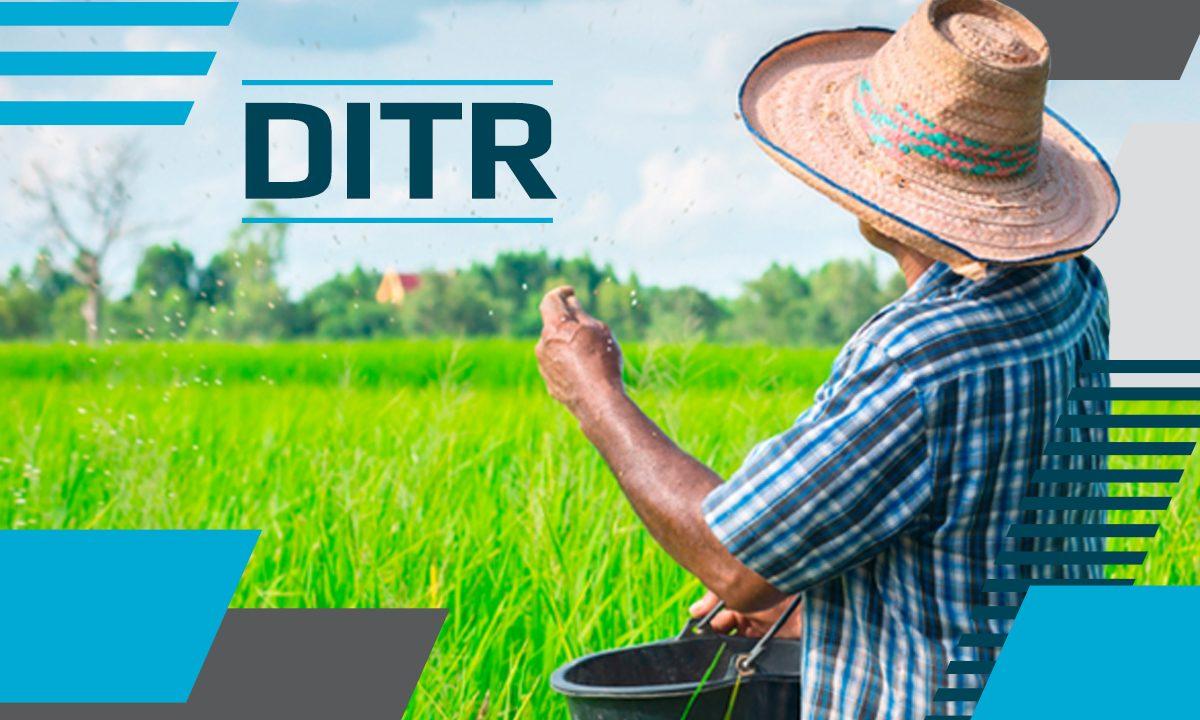 DITR - Imposto sobre propriedade rural