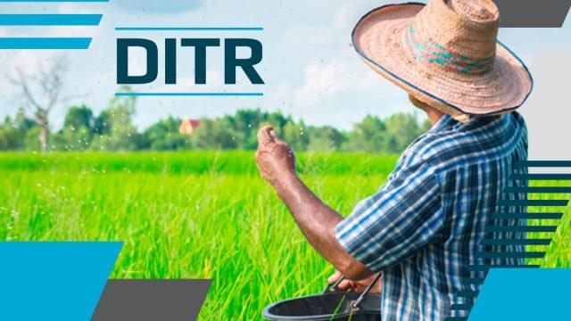 DITR - Imposto sobre propriedade rural